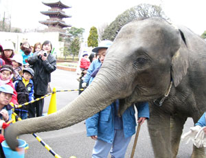 �]�E�̔�͏_�炩����