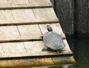 �\��t���J��