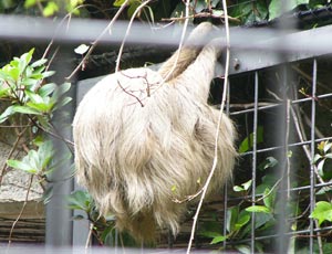 �����i�}�P���m