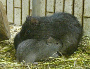 ��������e�q