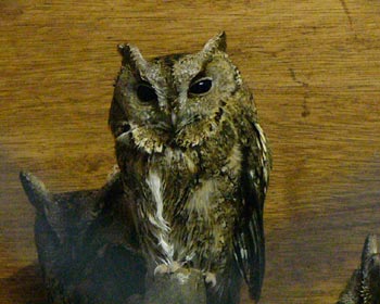 �I�I�R�m�n�Y�N