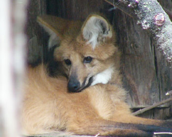 ���͒��g�^�e�K�~�I�I�J�~